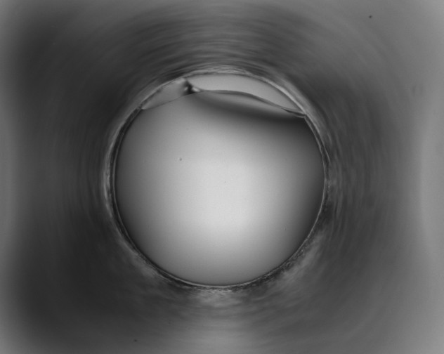 X0000088910909200707061343