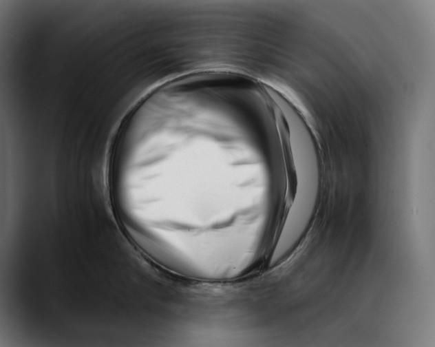 X0000088910910200707061343