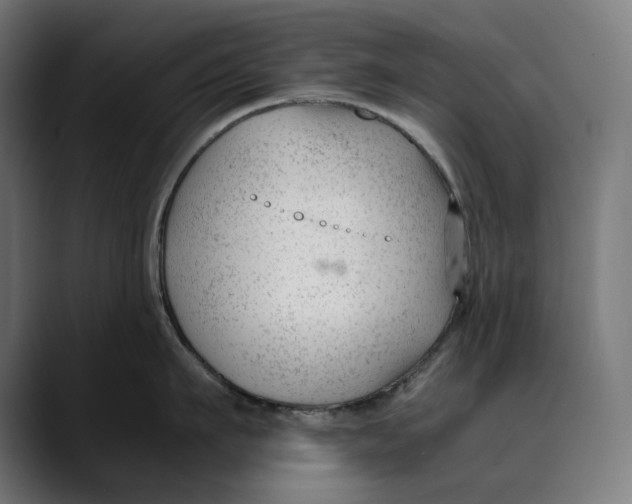 X0000088910911200707061343