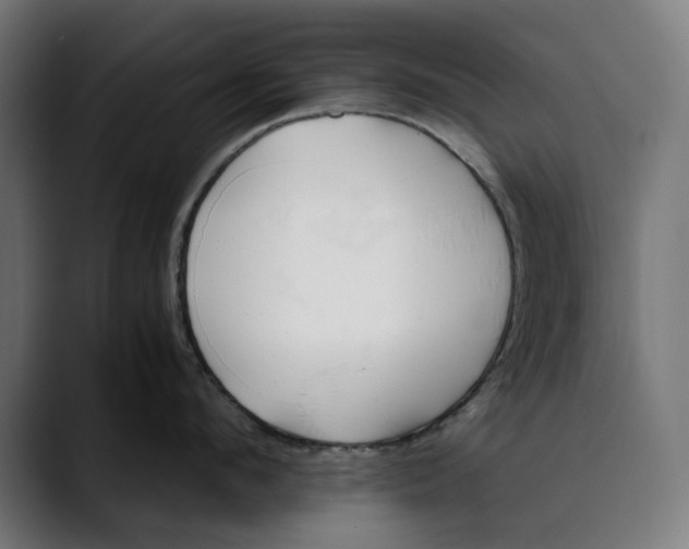 X0000088910912200707061343