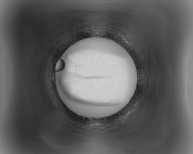 X0000088910913200707061342