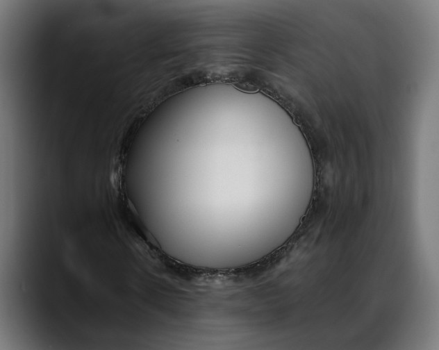 X0000088910914200707061342