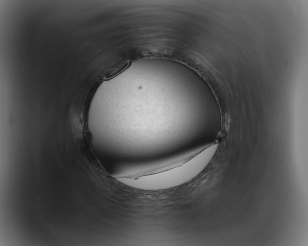 X0000088910915200707061342