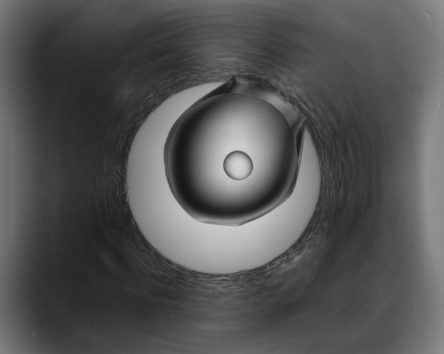 X0000088910916200707061342