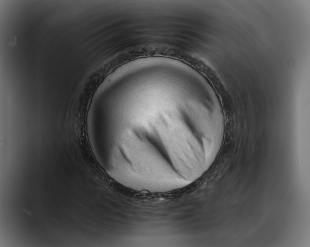 X0000088910919200707061342