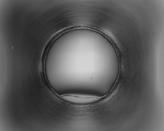 X0000088910924200707061343