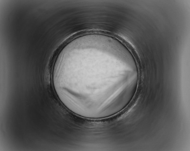 X0000088910925200707061343