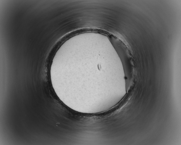 X0000088910926200707061343