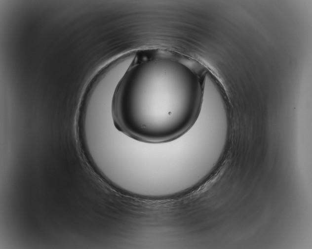 X0000088910928200707061343