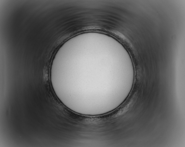 X0000088910929200707061343