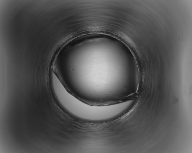 X0000088910930200707061343