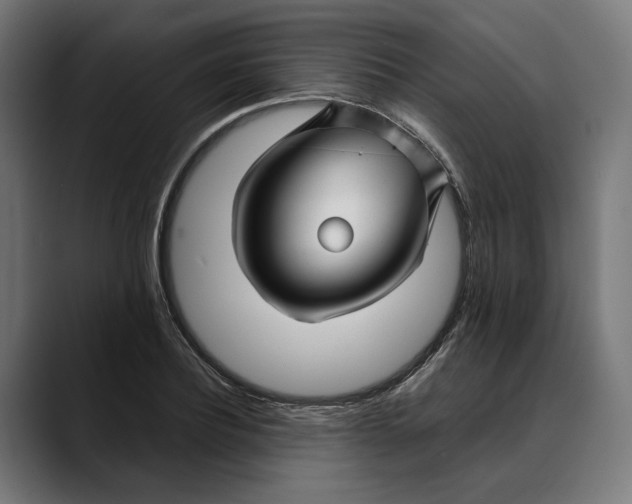 X0000088910932200707061343