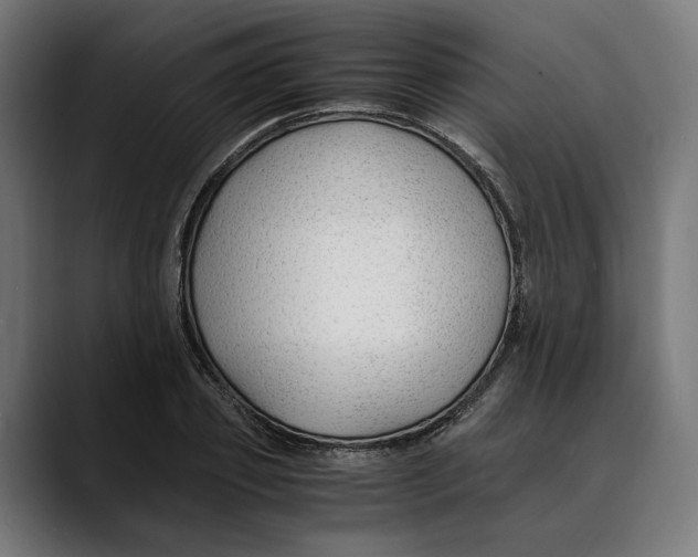 X0000088910933200707061343