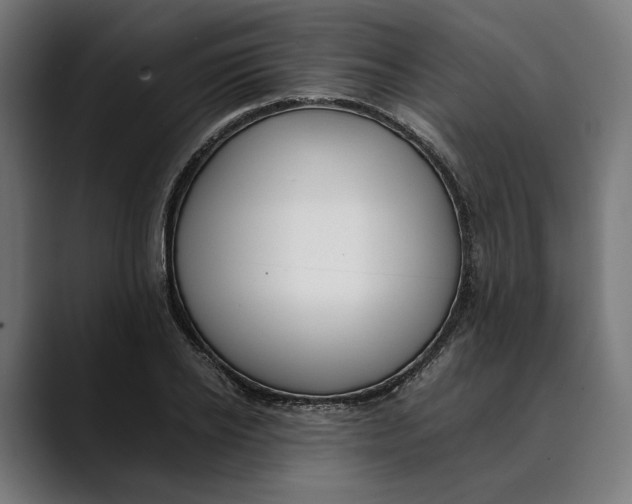 X0000088910934200707061343