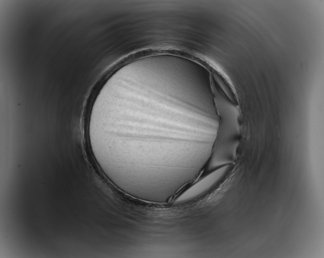 X0000088910935200707061343