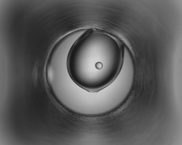 X0000088910936200707061343