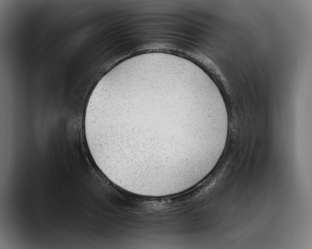 X0000088910937200707061343