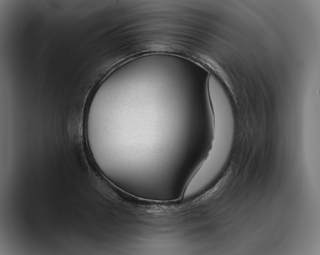 X0000088910938200707061343