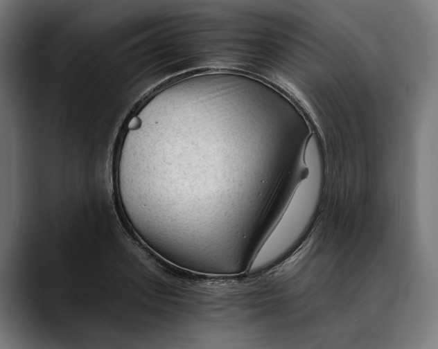 X0000088910939200707061343