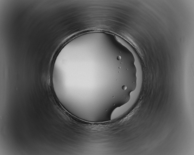 X0000088910940200707061343