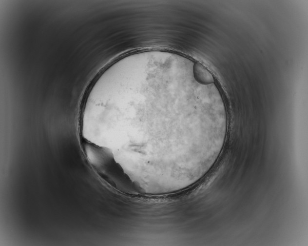 X0000088910941200707061343