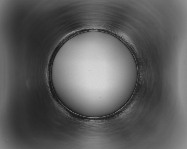 X0000088910942200707061343