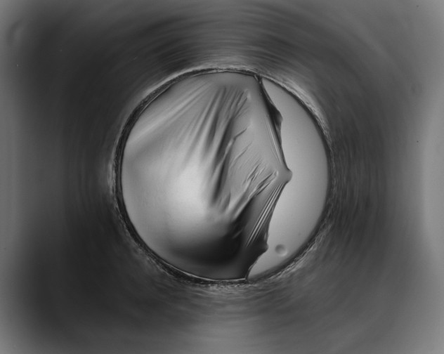 X0000088910944200707061343