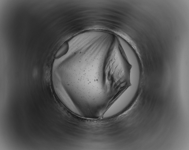 X0000088910945200707061343