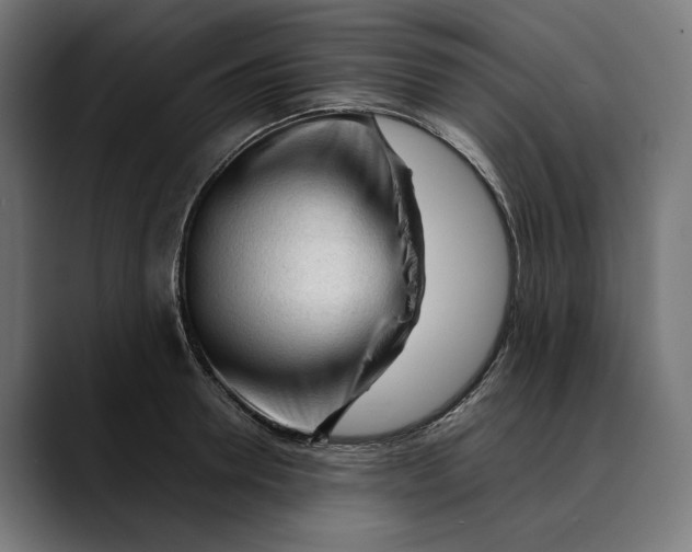 X0000088910946200707061343