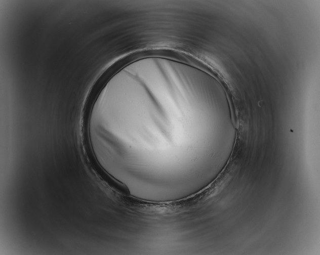 X0000088910948200707061343