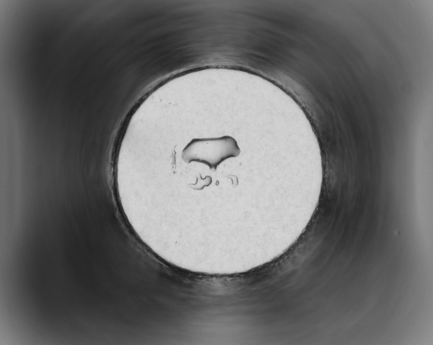 X0000088910950200707061343