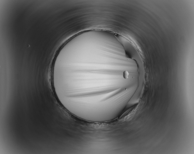 X0000088910952200707061343