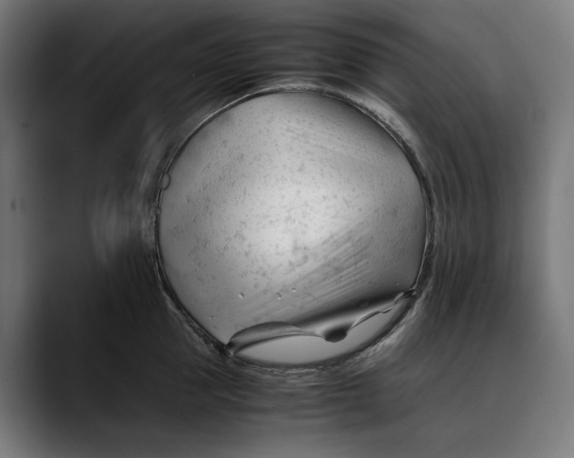 X0000088910953200707061343