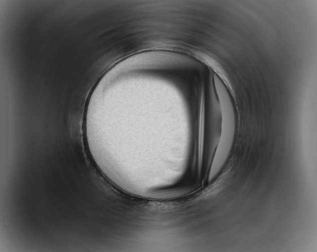 X0000088910954200707061343