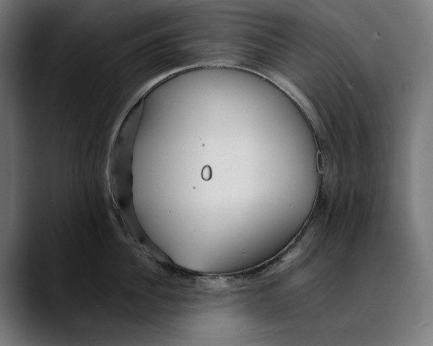 X0000088910956200707061343