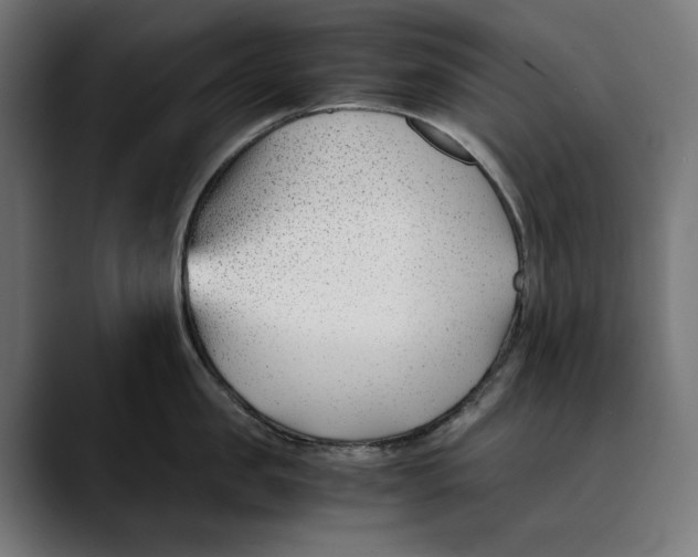 X0000088910957200707061343