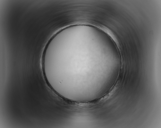 X0000088910958200707061343