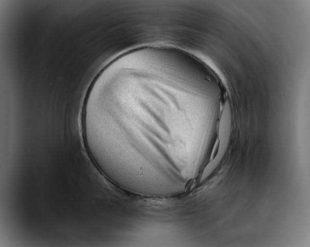 X0000088910959200707061343