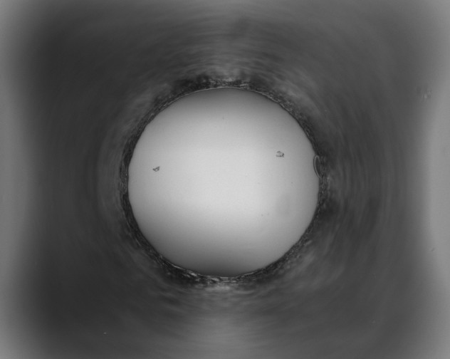 X0000088910961200707061342