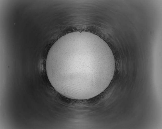 X0000088910962200707061342