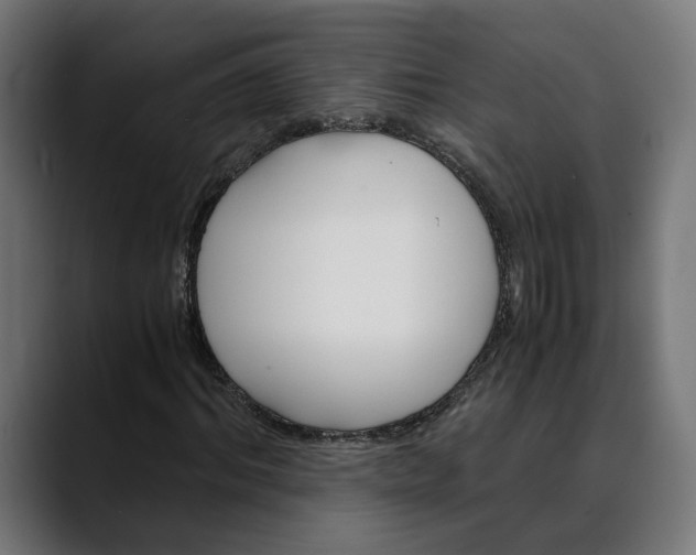 X0000088910964200707061342