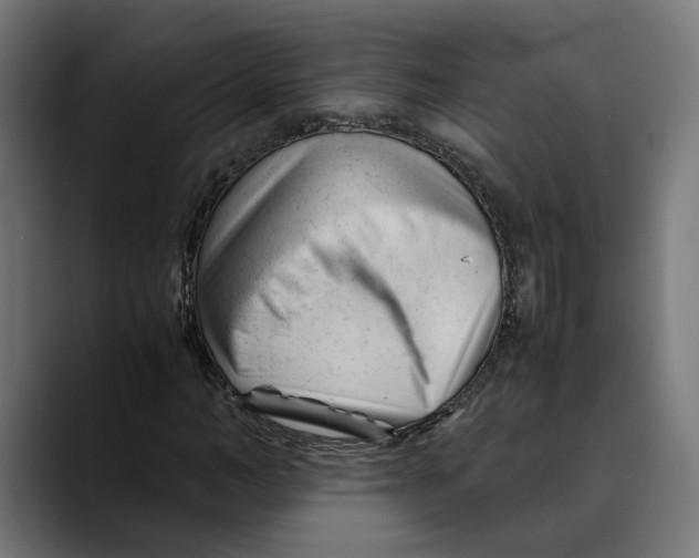 X0000088910966200707061342