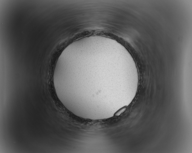 X0000088910967200707061342