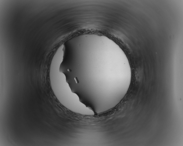 X0000088910968200707061342