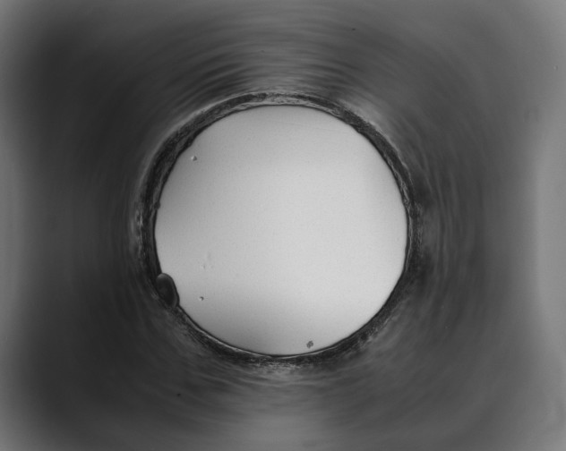 X0000088910971200707061342