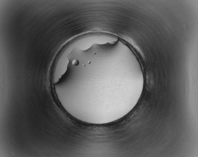 X0000088910972200707061342