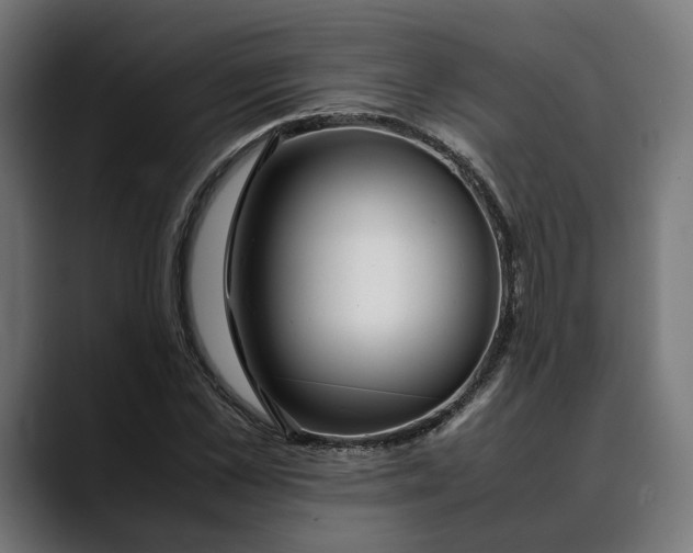 X0000088910973200707061342