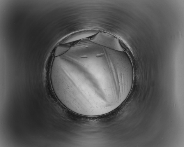 X0000088910975200707061342