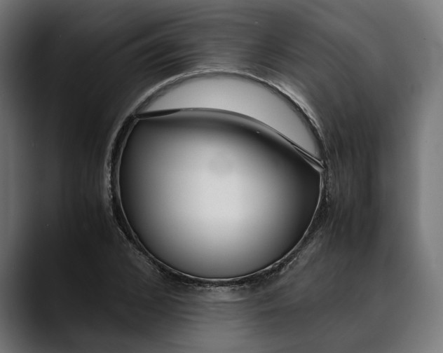 X0000088910976200707061342