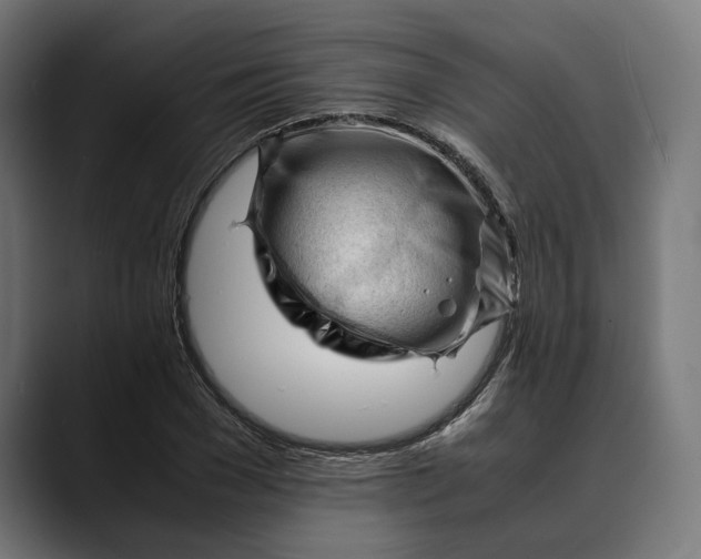 X0000088910977200707061342